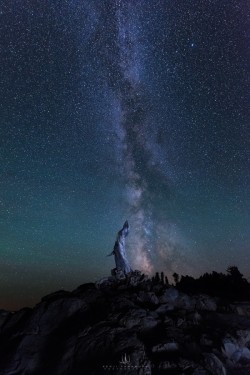 landture:  Reaching to the Galaxy by KenjiYamamura 