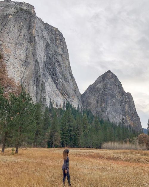 If you ever need a place to go and feel small for a while, El Cap Meadow is your place.#yosemite #