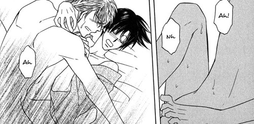 Fujoshi Mind