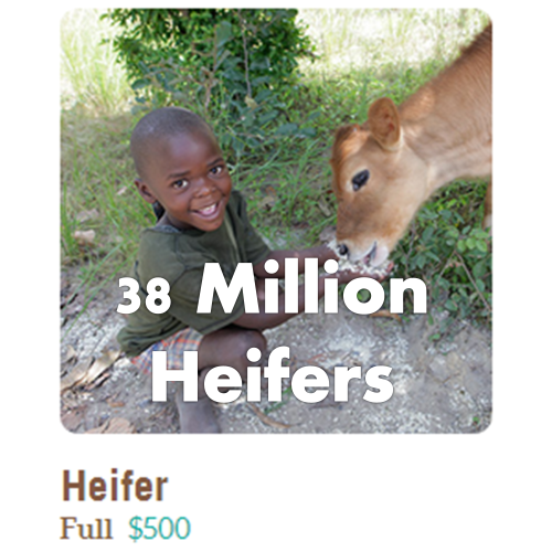 HEIFERS BRING HEALTH, PROSPERITY AND PEACE Heifer cow gift donations can change lives, giving hope to families in even the most dire of circumstances. This donation also funds training in the care of the heifer and improving the animal’s health. Each...
