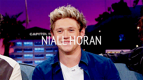 newgig:  Niall Horan: a summary (x)