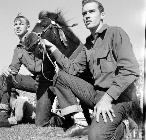 Peruna V at the Texas - SMU football game(Loomis Dean. 1950)