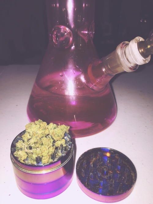 girlwithabong: Girl Scout cookie