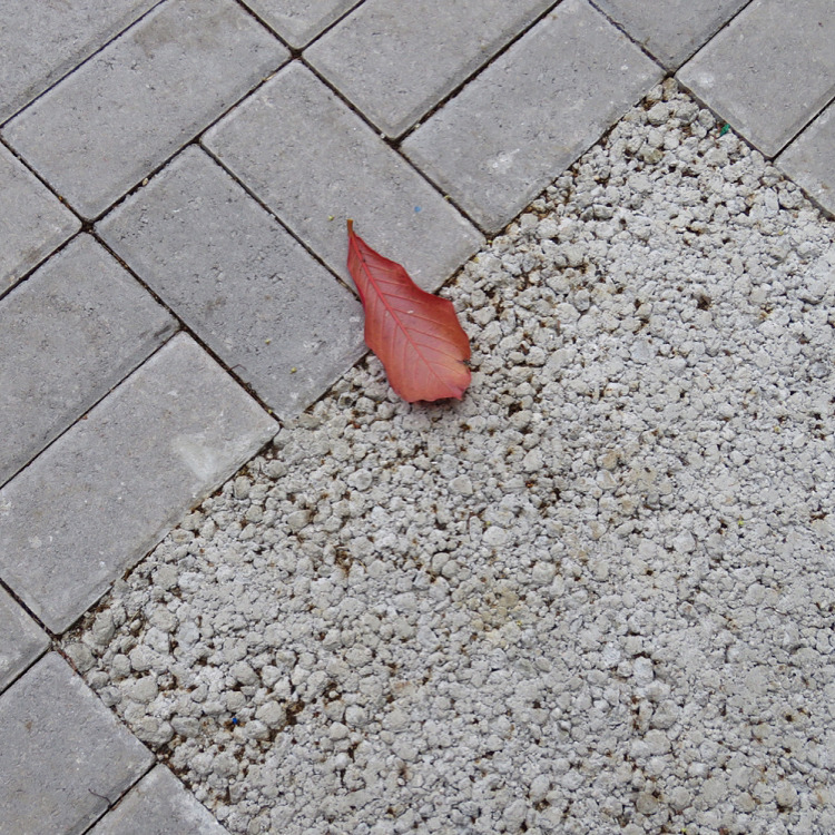 Fotos de hoy en #talleresveritas  (en Universidad VERITAS)