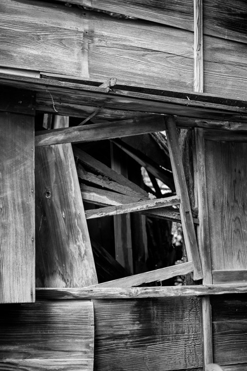 Disappearing ShowaA window in a now gone decaying house in Toritsudaigaku from the early-mid Showa e