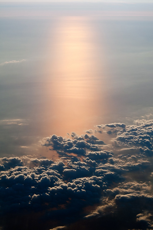 artnocaru:  Leaving Stockholm, pas le matin