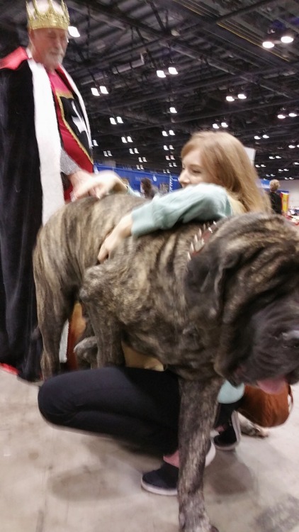 healthcoregoth: dogjpeg: me getting knocked over by the biggest dog I’ve ever met while The Ki
