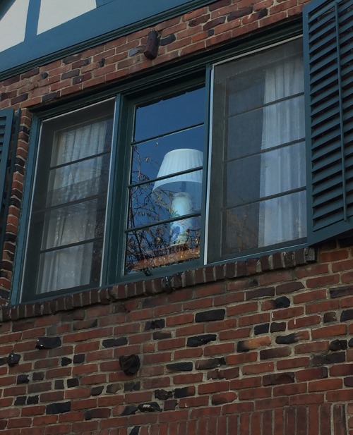 Looking outside 