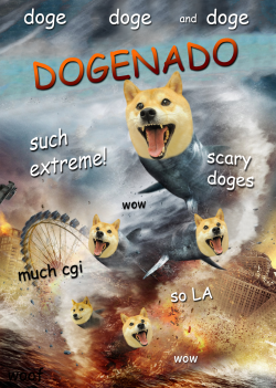 rightfromtheden:  #dogenado