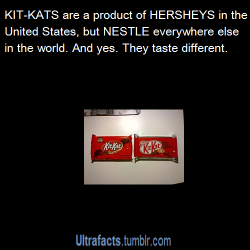 ultrafacts:  pizzaismylifepizzaisking:witchofcreation69:witch-of-sound:ultrafacts:  keyzge64:  ultrafacts:  Source Want more facts? Why not follow Ultrafacts  I love Kit-Kats in the US, but nothing beats a Japanese Kit-Kat. I really like the flavored