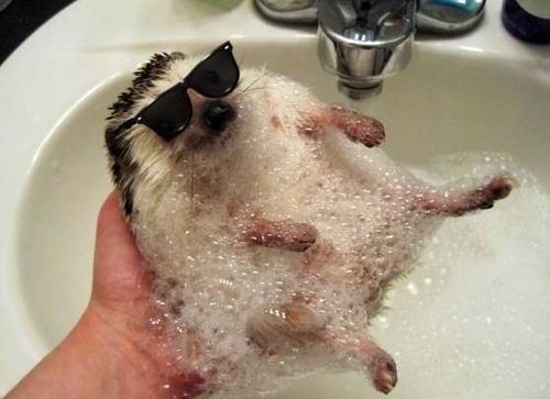 jaidefinichon:  swag 
