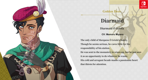 i made an oc for 3 houses! his name is diarmaid and he’s the absolute worst!