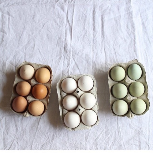 oldfarmhouse:Farm Fresh Eggshttps://www.instagram.com/Spring