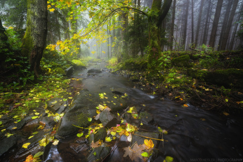 sweetd3lights:  Misty Waters by MarcoHeisler
