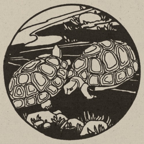 Little Sonny Sunfish - Elizabeth Gale - 1923 - via Internet Archive