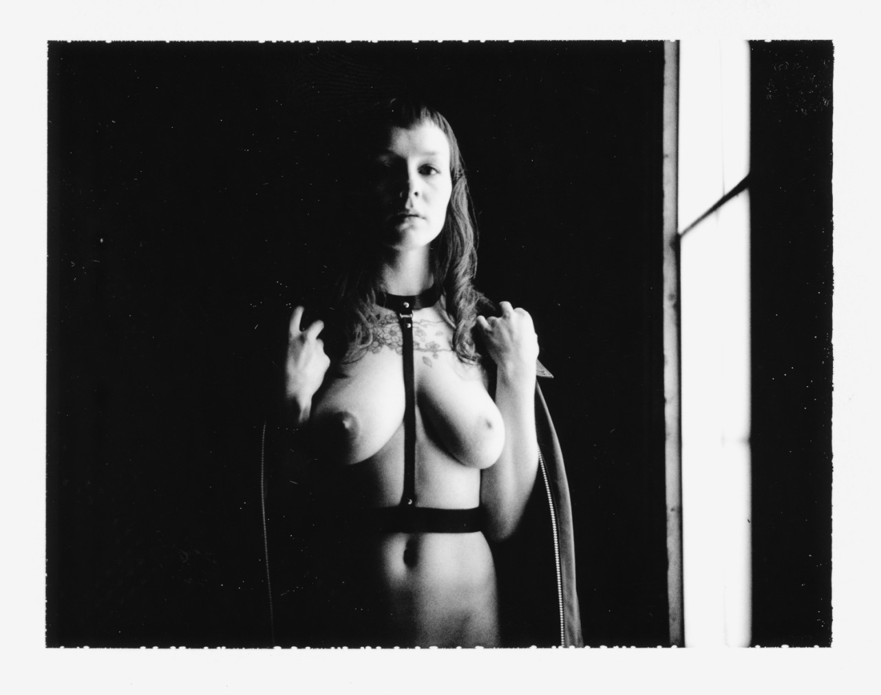 alveoliphotography:  December, 2015. Finch Linden X Alveoli Photography Buy these