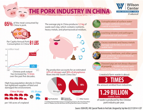 The Environmental Effects of China’s Growing Pork Industry:China’s growing appetite for meat has p