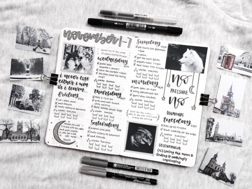studytherin:ʚ 7th nov 2017 ɞhere is my november’s first spread in a very wolfy theme. and coincident