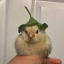 jobayda7