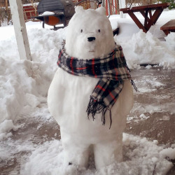 Ice Bear is loving this weather. Photo by