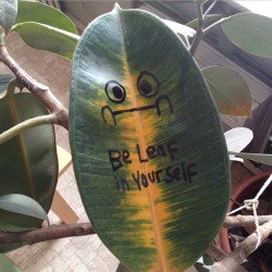 jonburgerman:  Message from my plant. #itsgreattocreate