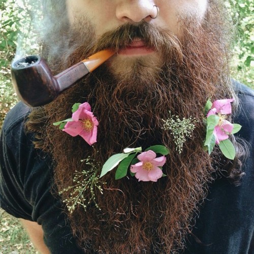 teavibes:  benevolentstranger:  the combination of a flowered beard, a pipe, and a nose ring is deadly  More boys should get nose rings