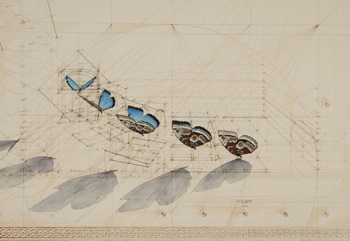 Complex Works Of The Venezuelan Artist Rafael Araujo