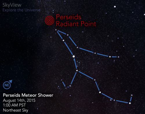 If you live in the Northern Hemisphere, don’t miss the annual Perseid meteor shower peaking tonight!
To locate the meteor shower using SkyView, simply select the Magnifying Glass icon in the upper right and search for the Perseus constellation around...