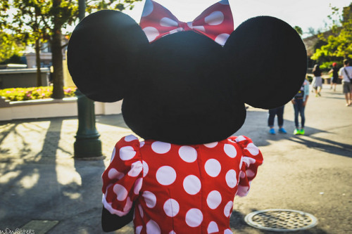 disneyworldsisters:Minnie Mouse on Flickr.