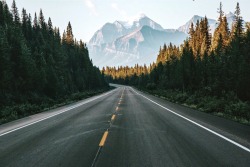 photosbygriffin:  Icefields Parkway