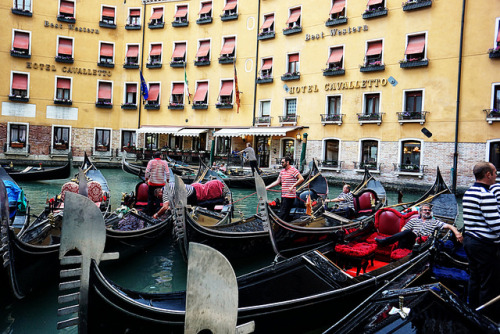 PHOTO of the day | October 3, 2014 | Venice