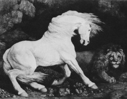 funeral-wreath:  George Stubbs, Horse Frightened