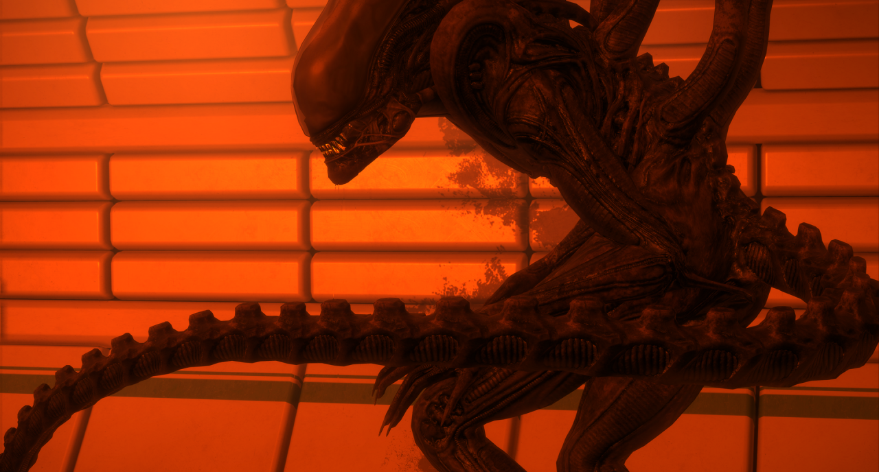 Aliens and Predators