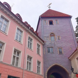 maringyu:  Pastel Buildings 💛💖💜