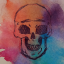 halcyon0198
