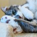 thebluestockingfirefly:Toes.
