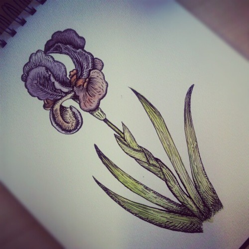 heather-surfacedesign:ink and watercolour