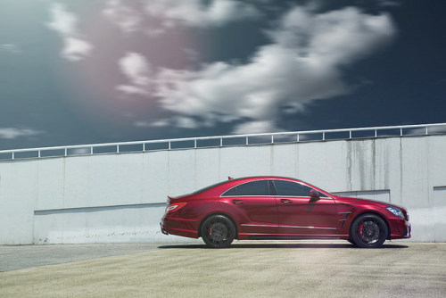 Porn automotivated:  WALD INTERNATIONAL CLS by photos