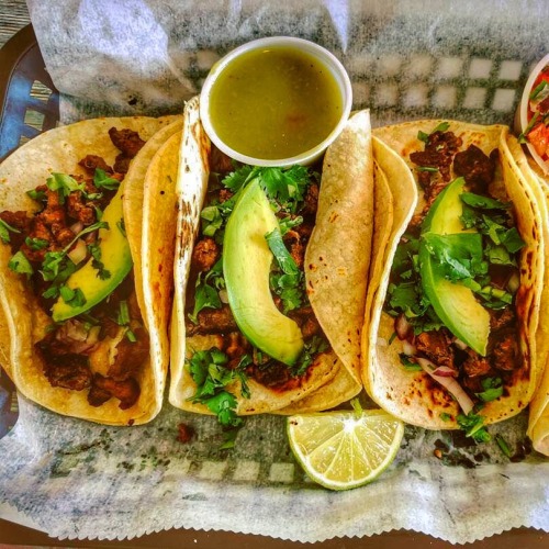 Porn everybody-loves-to-eat:STREET TACOS photos