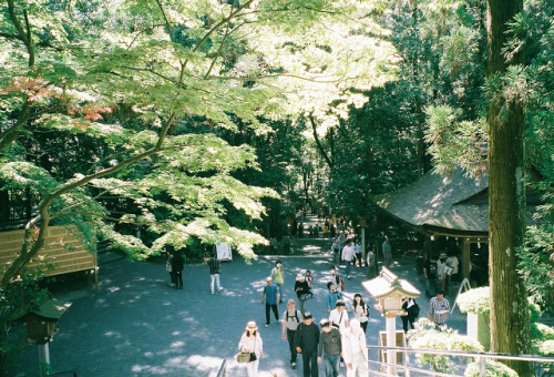 大神神社 日本最古とも言われている神社。 本殿はなく、拝殿の奥の三輪山そのものが御神体です。 三輪山は神聖な場所なので、禁足地となっています。 拝殿とその奥・禁足地の三輪山の間には結界として、珍しい三