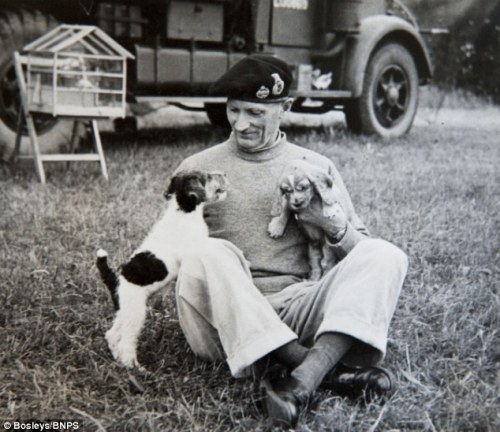Field Marshal Sir Bernard Montgomery and his doggos.