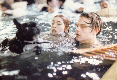 katefuckingwinslet: …What?  Several dogs survived the sinking in real life. Originally, the movie had a scene which featured this dog swimming; James Cameron decided to cut it out.  