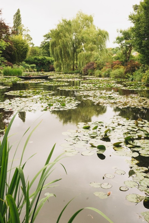 speir-s:Monet’s Garden in Giverny, Franceby Jamie Beck