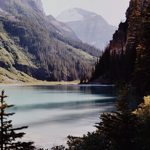 lifeof-ty:  “People need wild places. Whether or not we think we do, we do. We