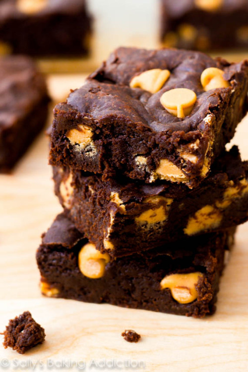 foodlifee:  greatbritishcheese:   Hot cocoa brownies The best fudge brownies Chocolate chip cookie dough brownies Triple chocolate brownies Caramel filled brownies Milk chocolate peanut butter truffle brownies Nutella brownies Ultimate fudge brownies