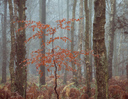 Young One by Brian Robertswebsite | instagram