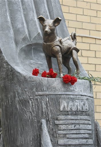 animalrates:  more animals rated here   Laika c. 1954 – November 3, 1957) was a Soviet space dog who became one of the first animals in space, and the first animal to orbit the Earth. Laika, a stray dog from the streets of Moscow, was selected to be