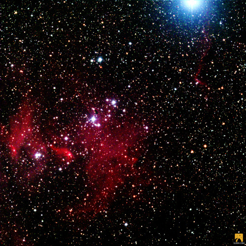 This is the Running Chicken Nebula! This nebula’s unique name comes from the shape of its brightest 