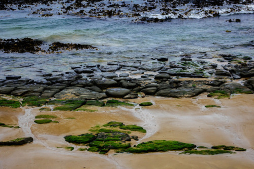 Curio Bay, Catlins, New Zealand.