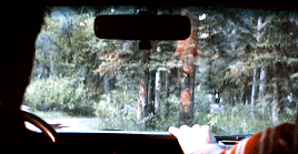 jacobaseed-moved: Oh hidy-ho officer, we’ve had a doozy of a day. There we were minding our own busi